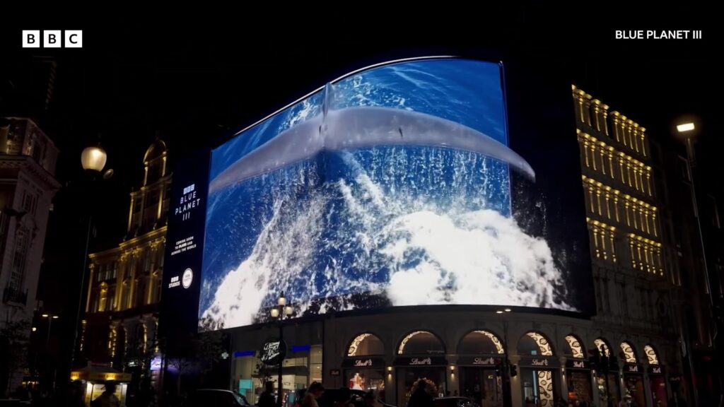 Een walvisstaart op het grote scherm van Piccadilly Circus bij de presentatie van Blue Planet III