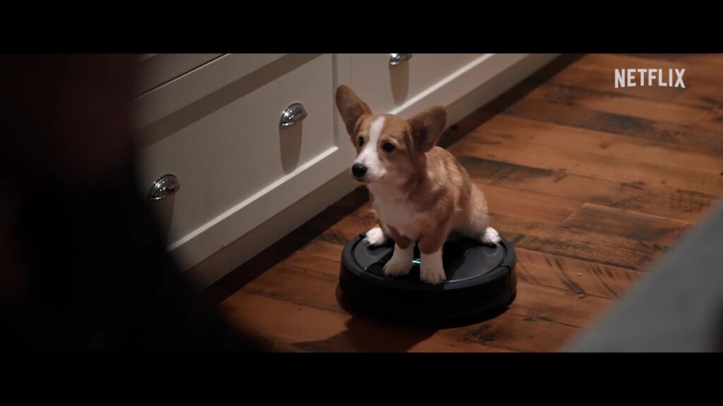 Een corgipup op een robotstofzuiger in A Dog's Perfect Christmas