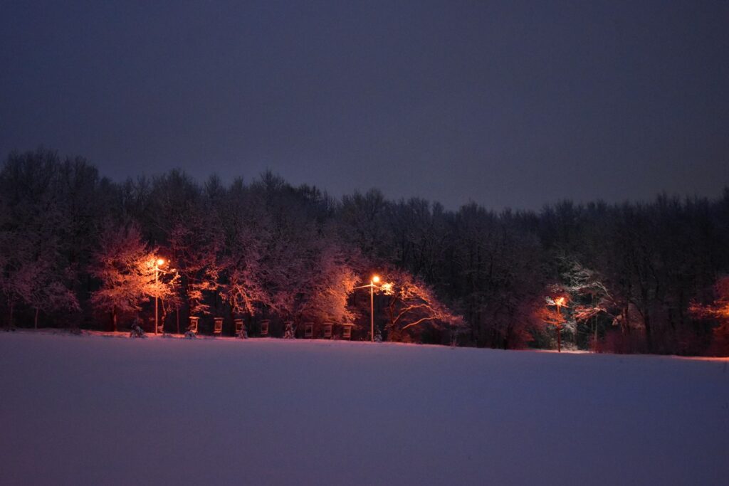 Een lantaarnpaal in een besneeuwd bos, zoals in Narnia